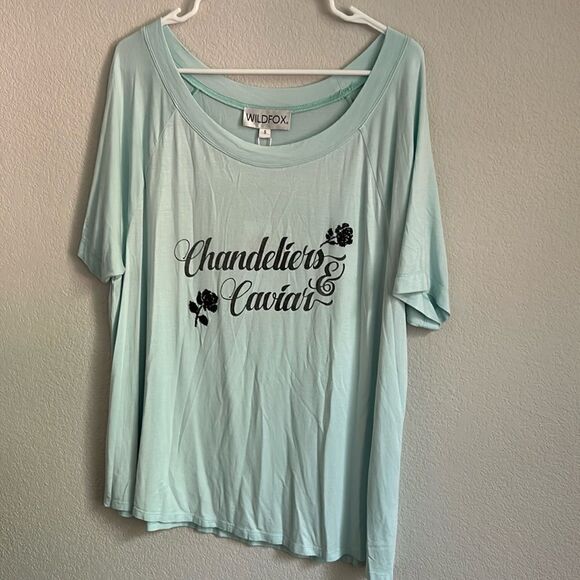 Wild fox T shirt size Small oversized light blue and black Juliette Tee NWT - Picture 1 of 5